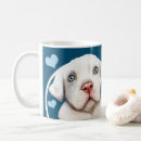 Buscar mi pitbull casa hogar General y unisex