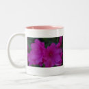 Buscar azalea tazas Fotografía