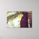 Buscar tropical rainforest arte Selvas tropicales