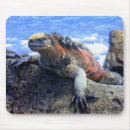 Buscar galápagos alfombrillas de raton Mar