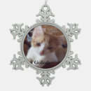 Buscar nieve mascotas Conmemoración