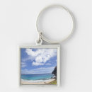 Buscar playa de hawaii llaveros Arena