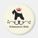 Buscar perro schnauzer imanes Schnauzers