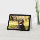 Buscar el día del jefe feliz tarjetas General y unisex