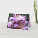 Buscar japonesas tarjetas Rosa