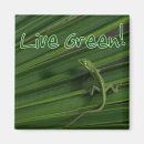Buscar eco imanes Naturaleza