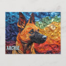 Buscar malinois belgas postales General y unisex