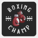 Buscar martial arts pegatinas Artista marcial