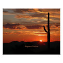 Buscar cactus de arizona posters Naturaleza