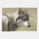 Buscar toalla del lobo paños de cocina Lobos