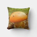 Buscar orange cojines Cushion
