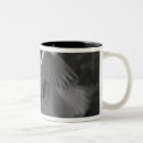 Buscar alba tazas Blanco
