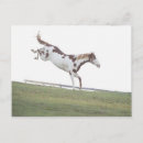 Buscar salto de longitud postales Exterior