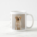 Buscar perro de labrador tazas Papá