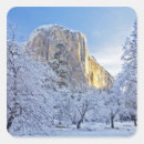 Buscar el capitan pegatinas Parque nacional yosemite