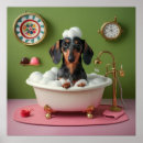 Buscar dachshund posters General y unisex
