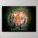 Buscar gatos coloridos posters Para ella