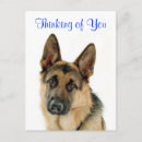 Buscar hola amor postales Perro