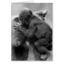 Buscar amor maternal postales Niño