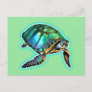 Buscar tortuga postales Costero