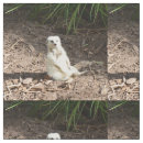 Buscar sonriente manualidades Animal