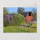 Buscar lino postales Flor