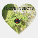 Buscar escarabajo negro pegatinas Mariquita