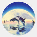 Buscar orca pegatinas Océano