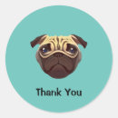Buscar kawaii pug pegatinas Perro