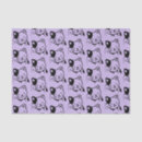 Buscar gato blanco y negro papel de seda Gatito