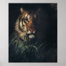 Buscar tigre retro posters Cosecha