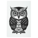 Buscar búho blanco arte Negro