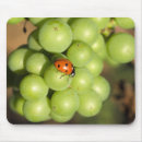 Buscar insecto verde alfombrillas de raton Rojo