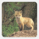 Buscar vulpes pegatinas Animal