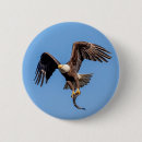 Buscar águilas chapas Raptor