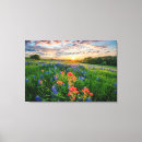 Buscar indios lienzos Texas