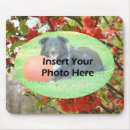 Buscar foto la flor de alfombrillas de raton Para ella