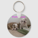 Buscar puppys Bulldog