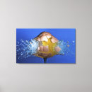 Buscar destruido posters Dañado