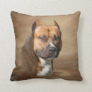 Buscar pitbull cojines Toro