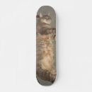 Buscar enfermo tablas de skate Fresco