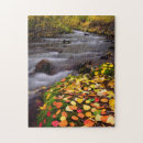 Buscar abundancia puzzles Danita delimont