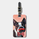 Buscar boston terrier accesorios Steampunk