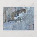 Buscar feos postales Gatos