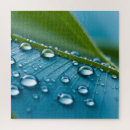 Buscar gotas de agua puzzles Rocío