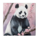 Buscar oso panda azulejos Acuarela