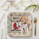 Buscar beagle que juega Perros