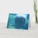 Buscar manatee tarjetas Manatíes