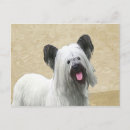 Buscar skye terrier postales Escarnio