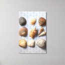 Buscar ancla lienzos Seashell